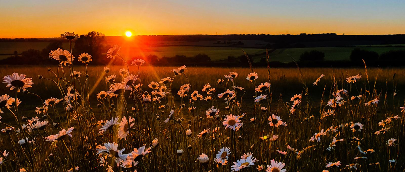 South Downs National Park